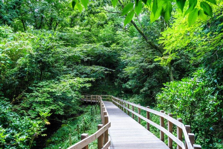 🏞️ 카키타가와 공원 이미지 5